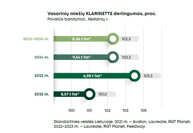 Klarinette Grafikas 2025