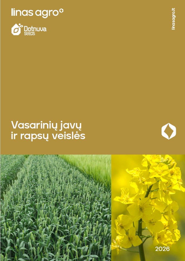 V. Javų rapsų viršelis