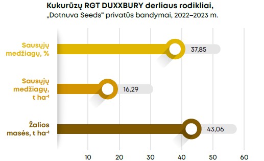 Duxxbury Grafikas 1