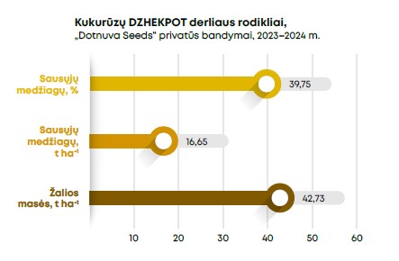 Dzhekpot Grafikas