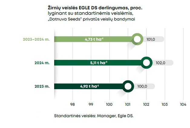 Egle Ds Grafikas 2025