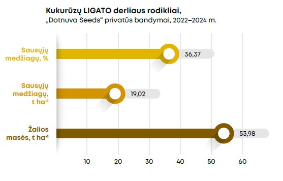 Ligato Grafikas 2025