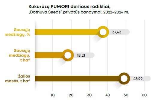 Pumori Grafikas 2025