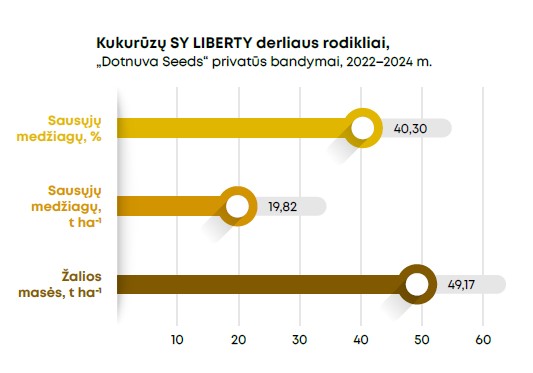 Sy Libetry Grafikas 2025