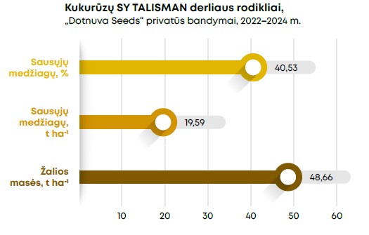 Sy Talisman Grafikas 2025