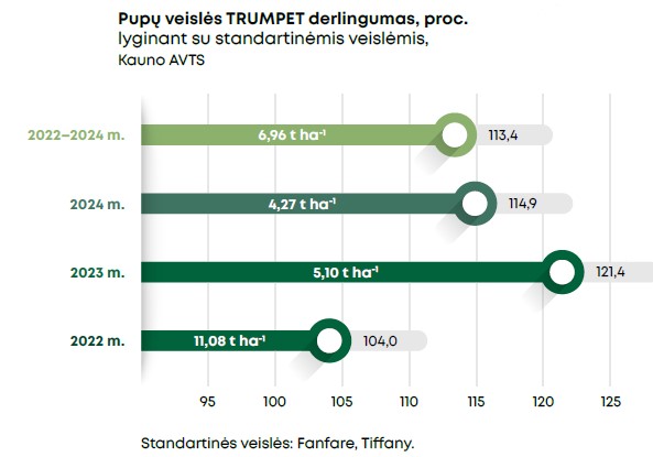 Trumpet Grafikas 2025