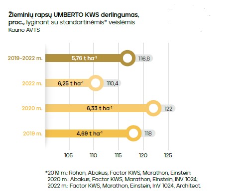 Umberto KWS grafikas