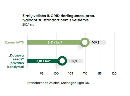 Žirnių Ingrid Grafikas 2025