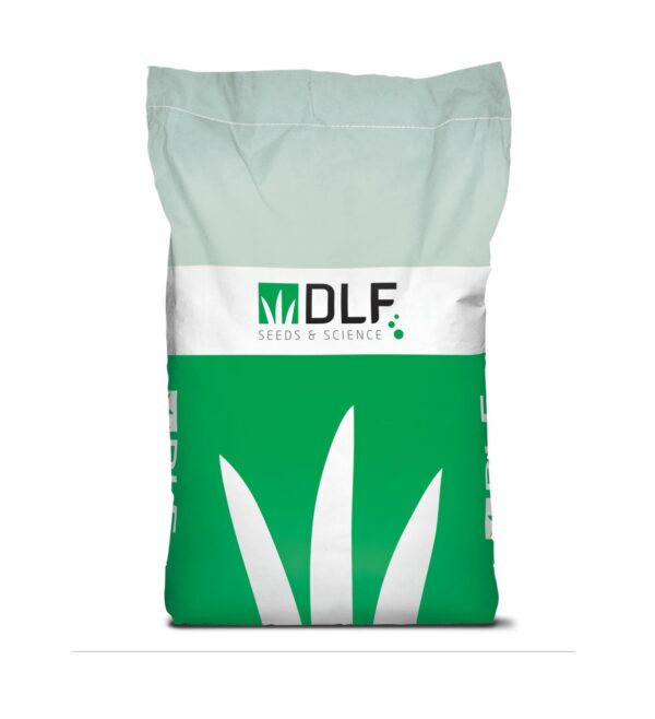 Dlf Export Bag 49x71.5x13 Version 1