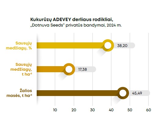 Adevey Grafikas