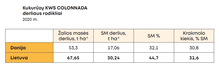 Kws Colonnada Garfikas