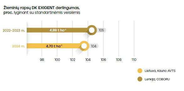 Dk exigent grafikas 2025 m.
